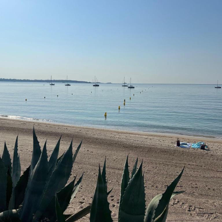 La Pastourelle - 360 Sea , Cap d'Antibes & Mountain View - Villa - 24