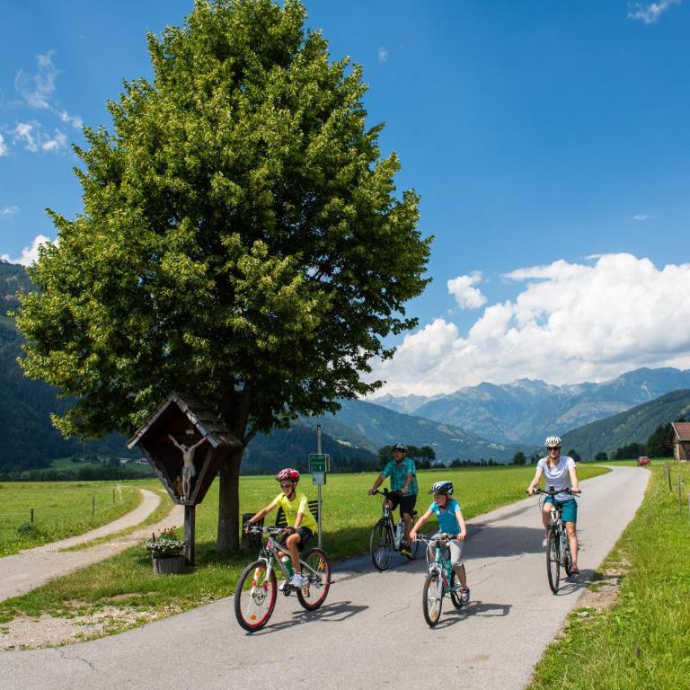 Beim Rauter - Emberger Alm - Ferienhaus mit 3 Schlafzimmern - 84