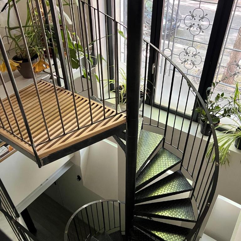 Etage Meynadier - Suite Familiale - 4