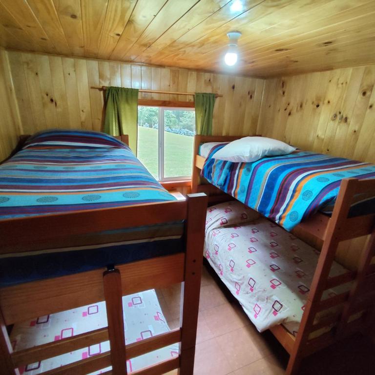 Cabaña Leandro Lago Panguipulli - Two-Bedroom Chalet - 8