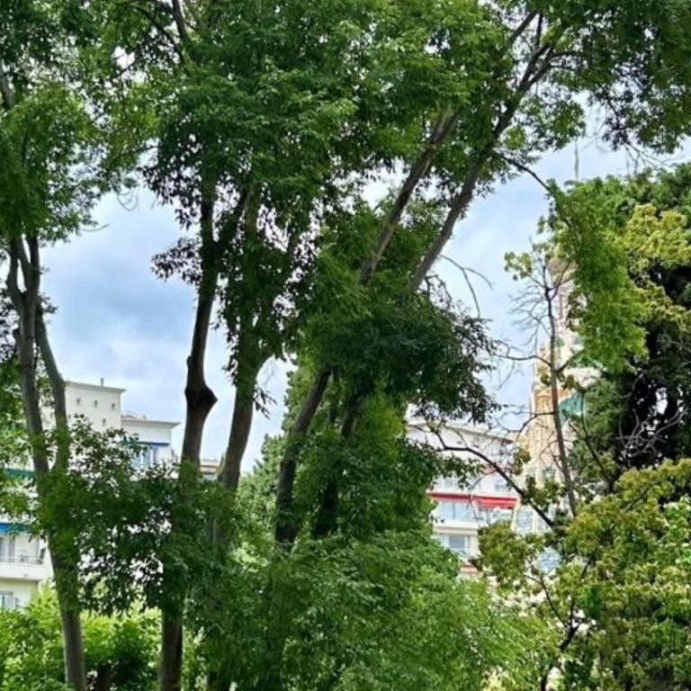 La Charmeraie - Studio Centre-Ville Nice - Appartement 1 Chambre - 9