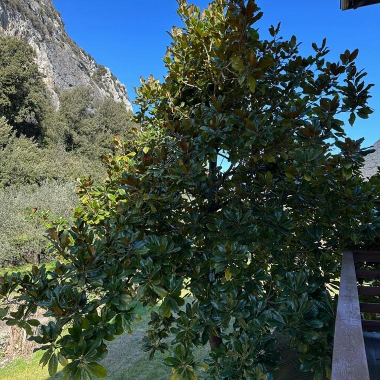 La Lanterna - One-Bedroom Apartment - 24