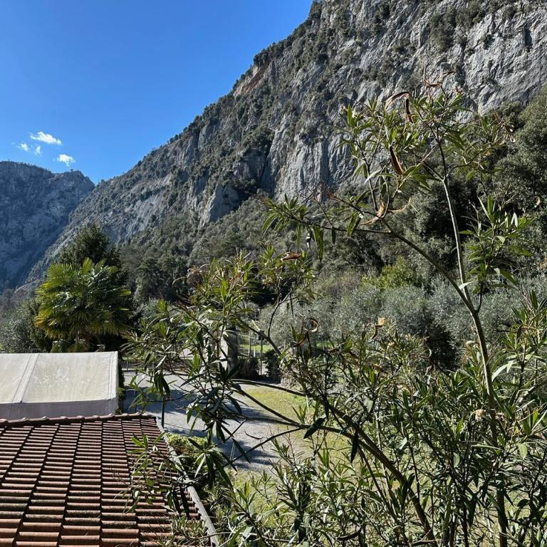 La Lanterna - One-Bedroom Apartment - 27