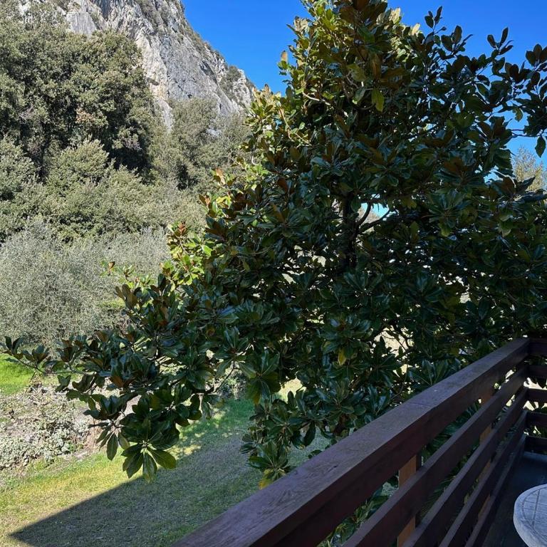 La Lanterna - One-Bedroom Apartment - 49