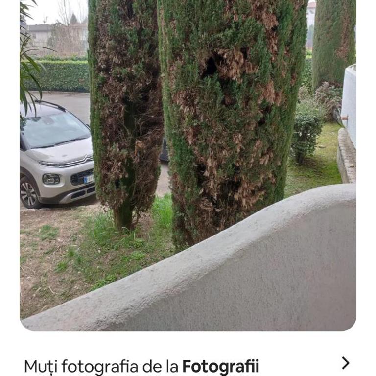 Di fronte al Lago - Appartamento con 1 Camera da Letto - 21