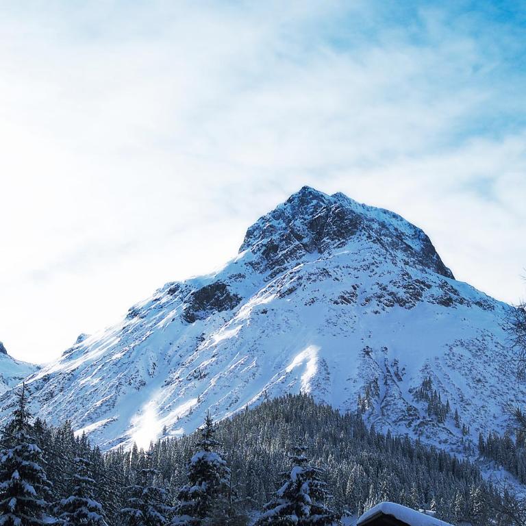 Hotel Berghof - Luxus-Doppelzimmer mit Balkon - 1