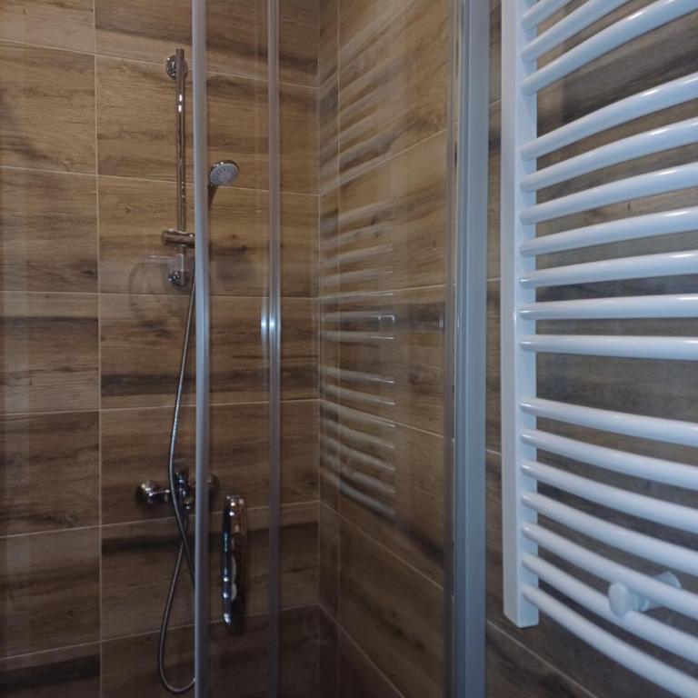 Apartman Velickovic - Apartman sa 1 Spavaćom Sobom - 10