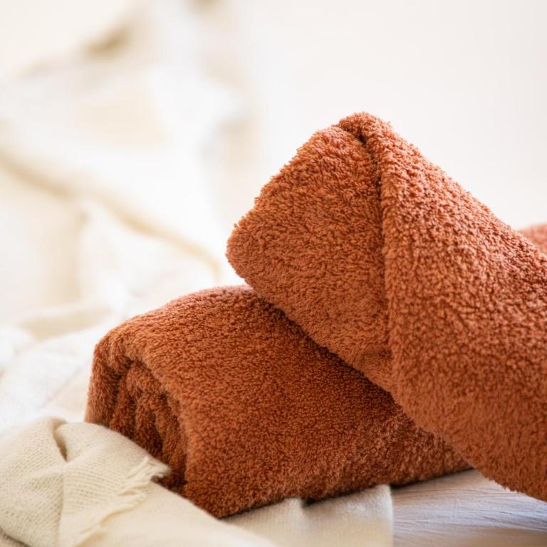 Chez Ambre et Flo - Queen Size Clim Centre Parking - Appartamento con 3 Camere da Letto - 21