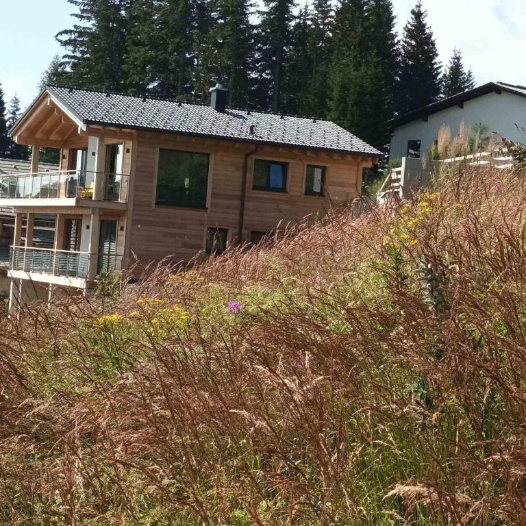 Klippitz Heights - Ferienhaus - 2