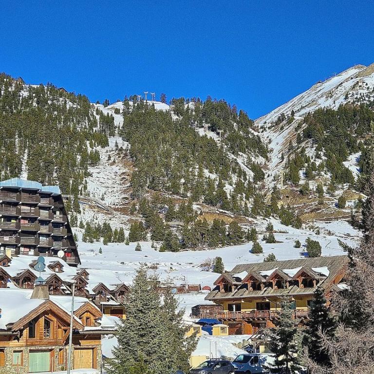 La Vieille Douane accommodation overlooking the slopes - Appartement 3 Chambres - 32