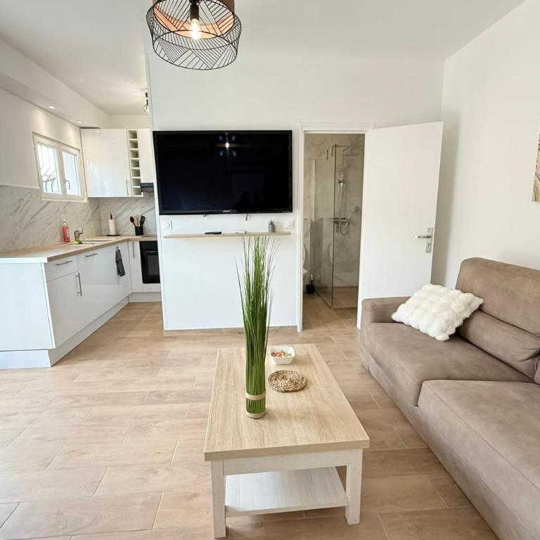 06CP - Beautiful T2 super equipped with terrace - Appartement - 22