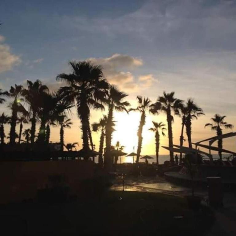 1BD Suite Villa Del Palmar Cabo - Suite - 11