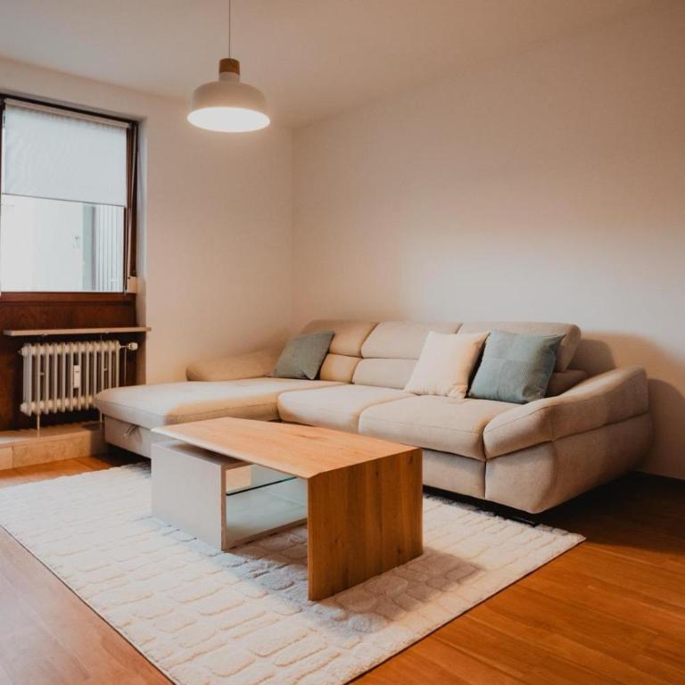 Zentral, Loggia, TG-Platz - Appartamento con 1 Camera da Letto - 12