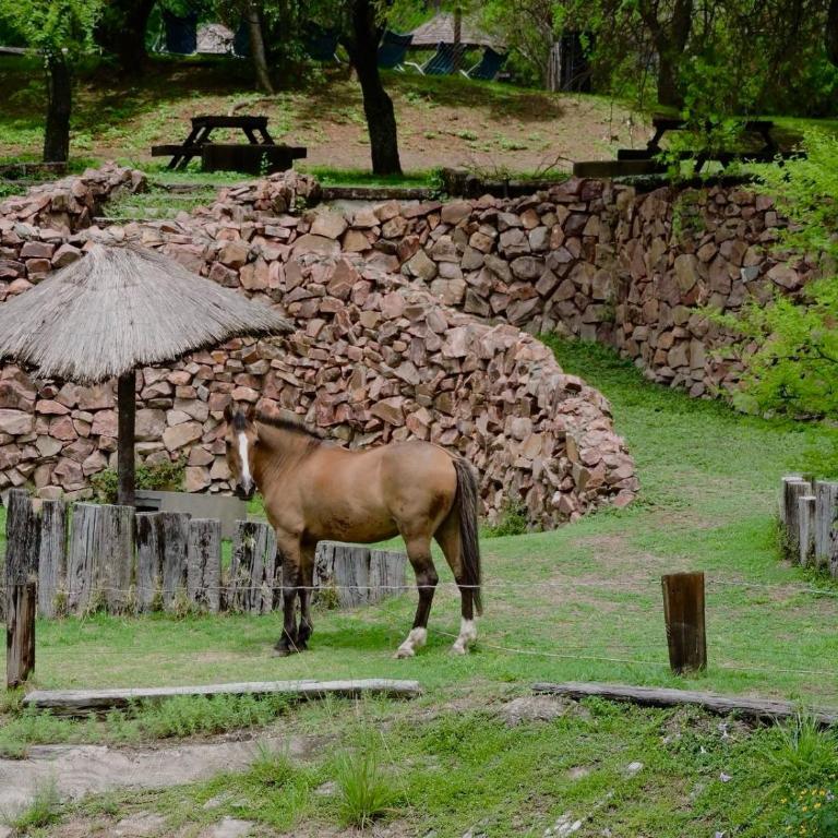 Apart Club San Pedro vip loft - One-Bedroom Apartment - 6