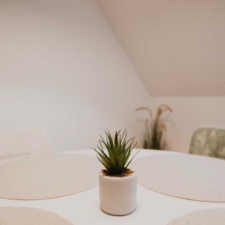 Zentral, Loggia, TG-Platz - Appartamento con 1 Camera da Letto - 3