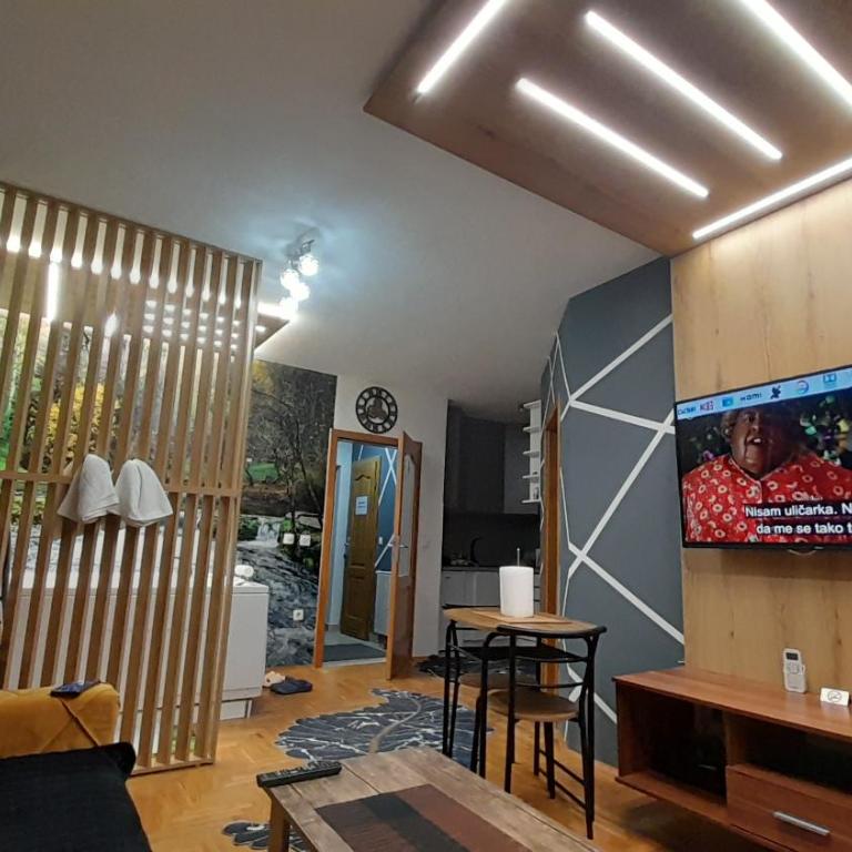 JACUZZI for RELAX - HOLLYWOOD Apartment, STUP, Sarajevo - Deluxe Apartment - 40
