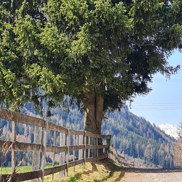 Bergblick Vadiesen - Apartment - 19