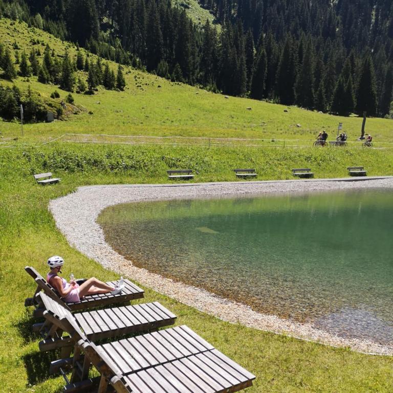 Bergblick Vadiesen - Apartment - 20