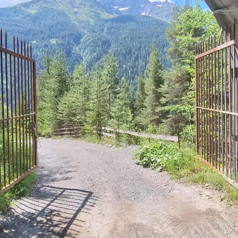 Bergblick Vadiesen - Apartment - 23