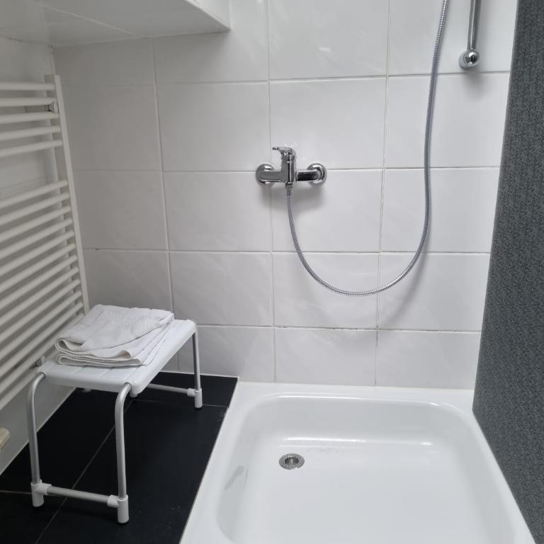 Haus Kreuzeckwiese - FeWo-Waxenstein - Studio Appartment - Studio-Apartment mit Balkon - 15