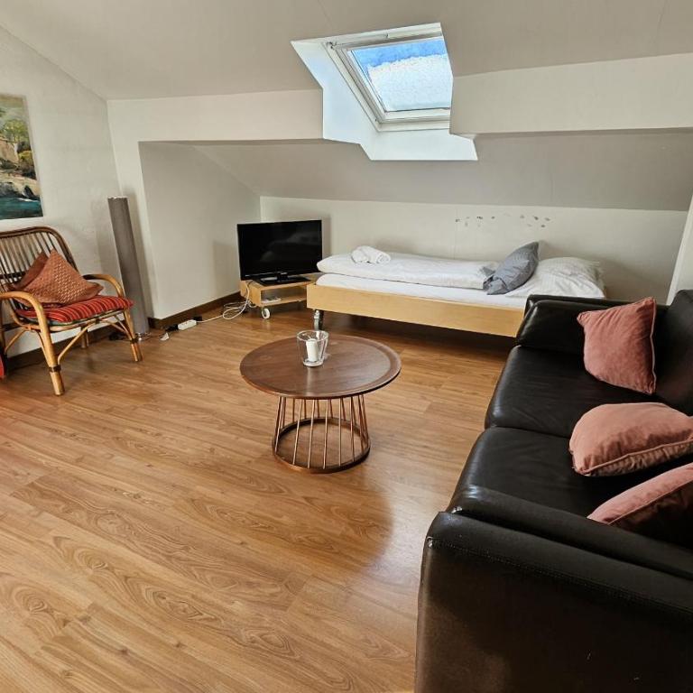 Haus Kreuzeckwiese - FeWo-Waxenstein - Studio Appartment - Studio-Apartment mit Balkon - 39