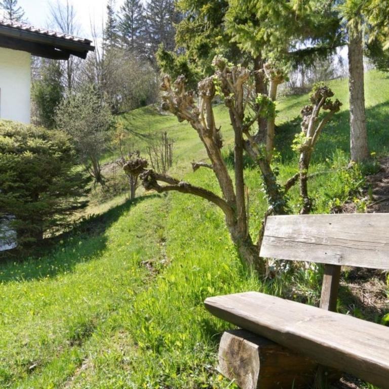 Malerblick -556- - Apartment - 18