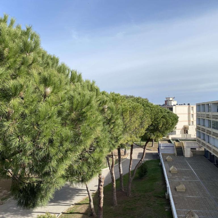 Appartement T2 confortable avec Wifi, loggia spacieuse, garage à Balaruc-les-Bains - FR-1-553-289 - Appartement - 11