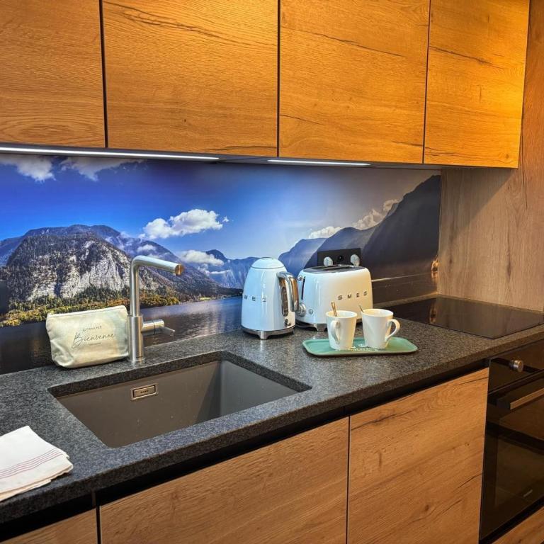 Appartement moderne aux Houches, proche des pistes - FR-1-343-263 - Appartement 2 Chambres - 2