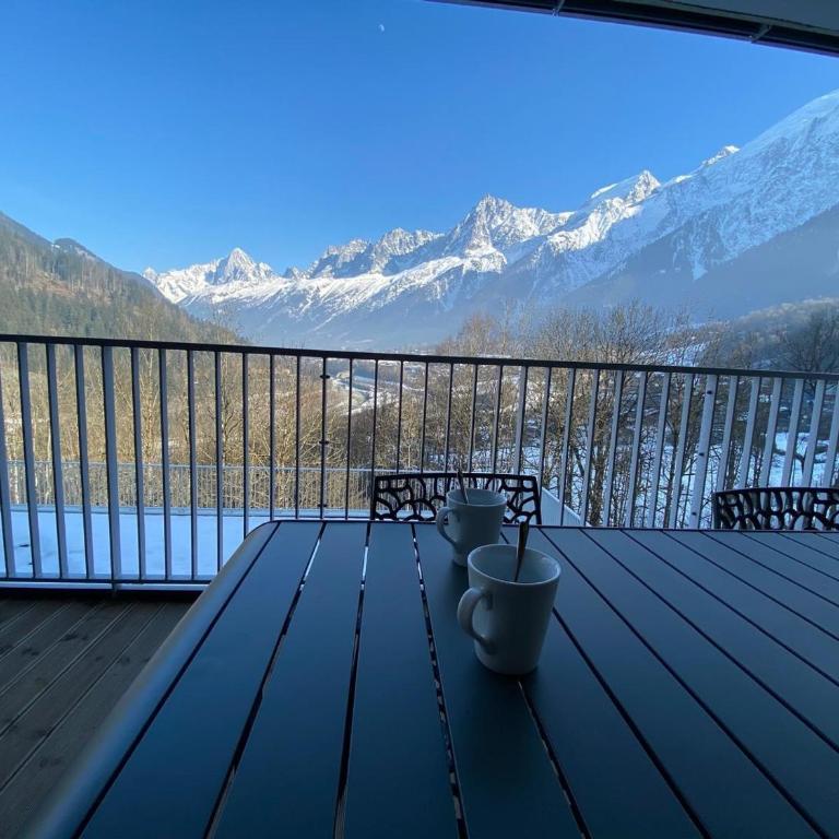 Appartement moderne aux Houches, proche des pistes - FR-1-343-263 - Appartement 2 Chambres - 3