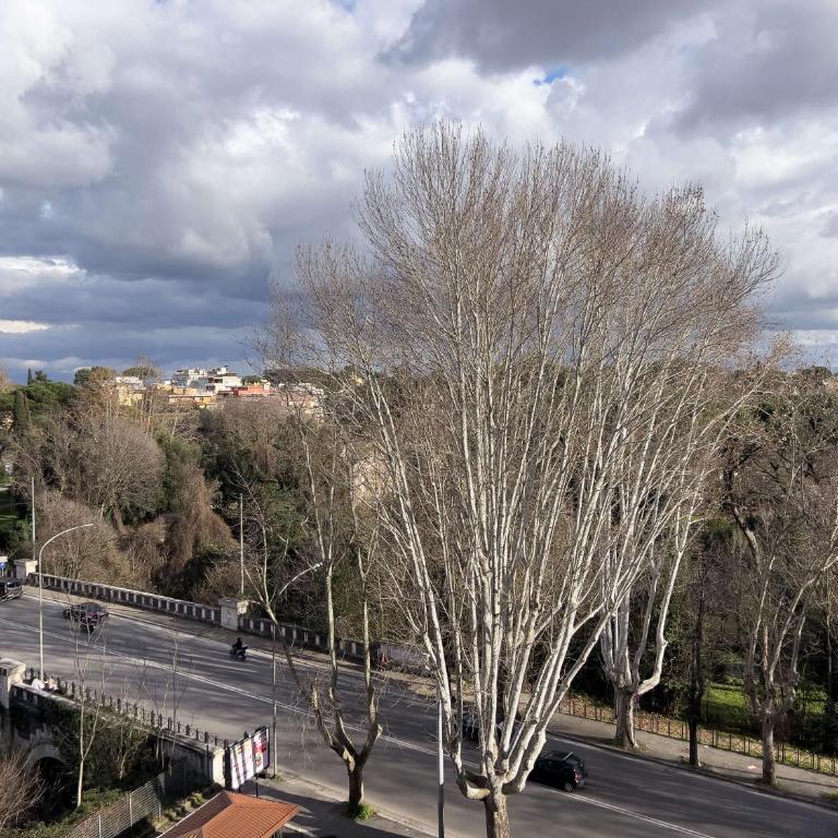 Domus Lucis Rome - Appartamento con 1 Camera da Letto - 58