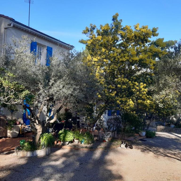 La Souleiado - Maison de Vacances - 5