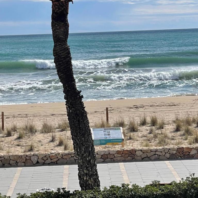 Apartamento playa 2 - Apartamento de 2 dormitorios - 15