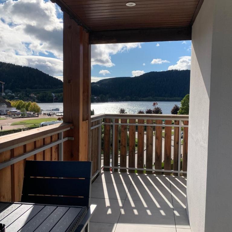 L 'écrin du lac - 5 stars - Exceptional view' - Appartement 1 Chambre - 24