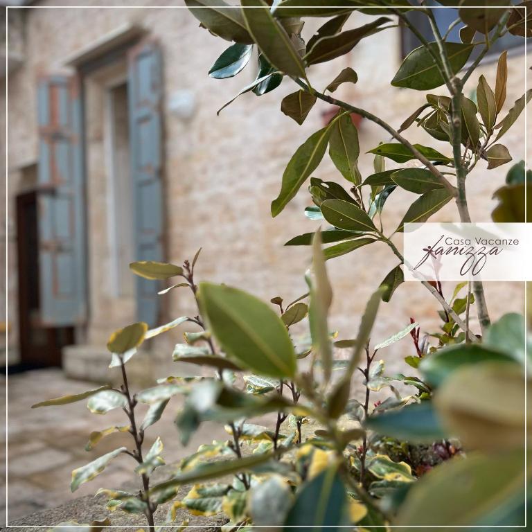 Domus Garden Fanizza - Casa con 3 Camere da Letto - 8