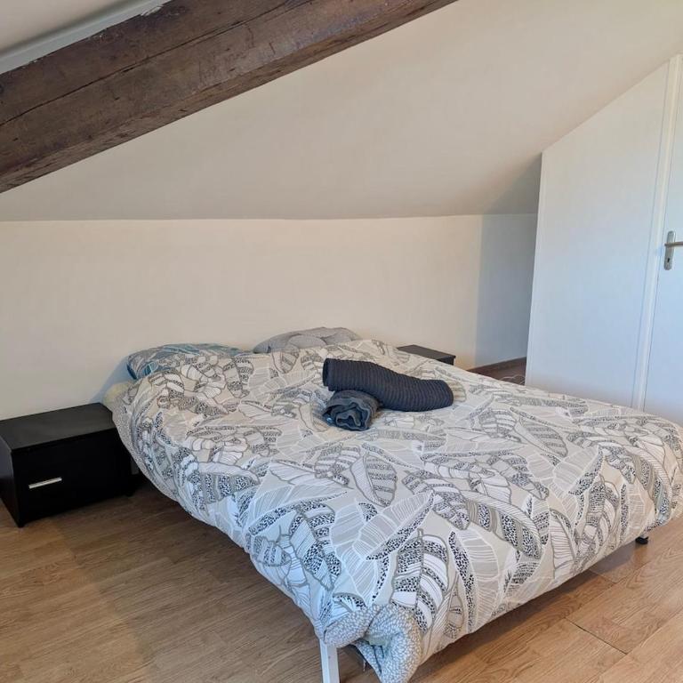 Studio Hyper Centre au Calme, Confort & Équipé - Two-Bedroom Apartment - 1