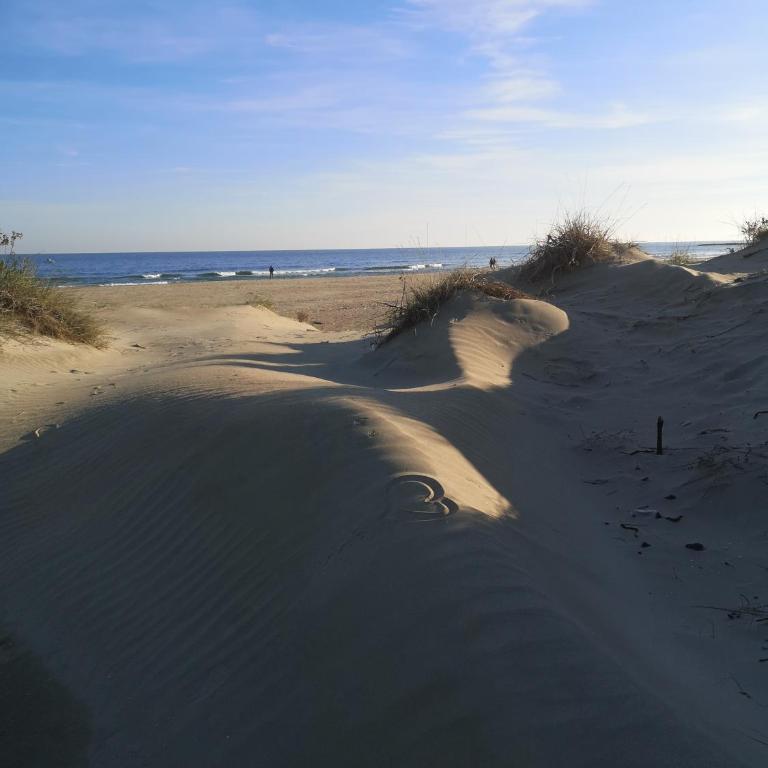 Les pieds dans l'eau - Estudio con vistas al mar - 12