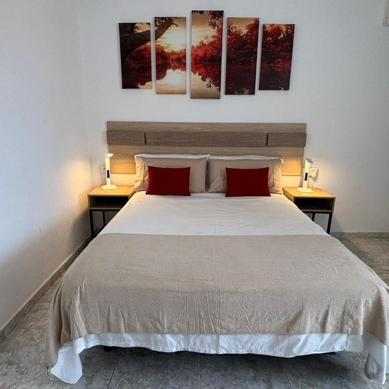 Luceros 310 New - Studio Apartment - 2