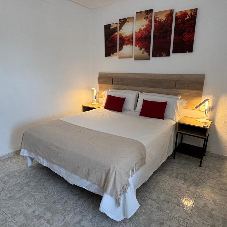 Luceros 310 New - Studio Apartment - 3