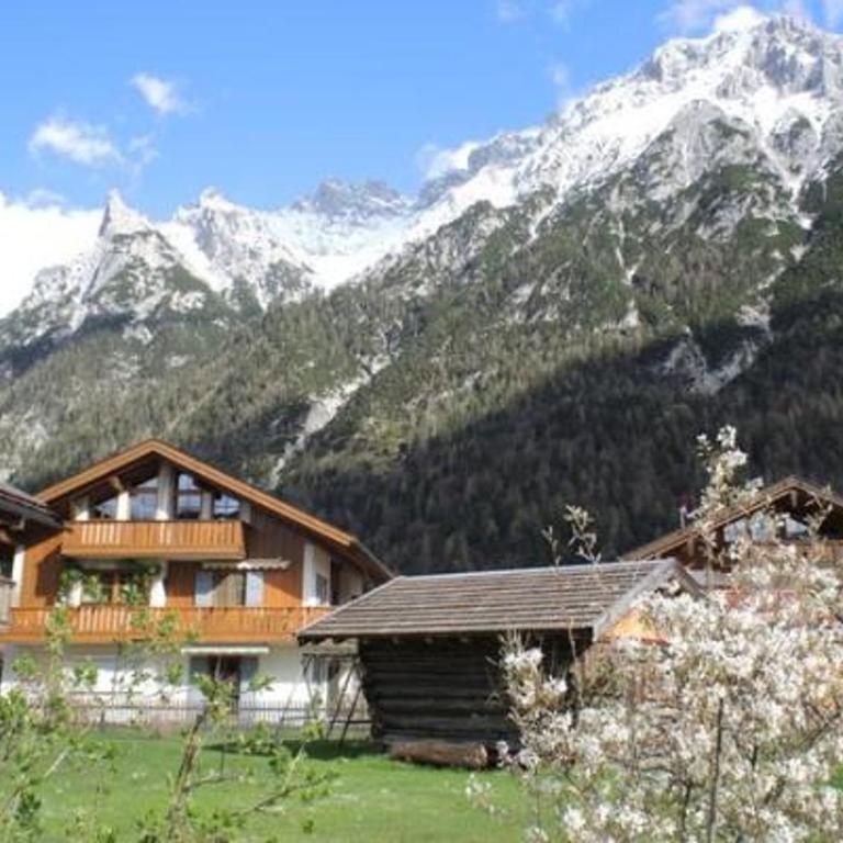 Gänseblümchen -805- - Apartment - 10
