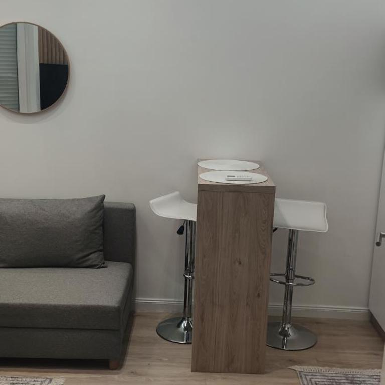 Apartment Hilandarska - Apartman sa 1 Spavaćom Sobom - 8