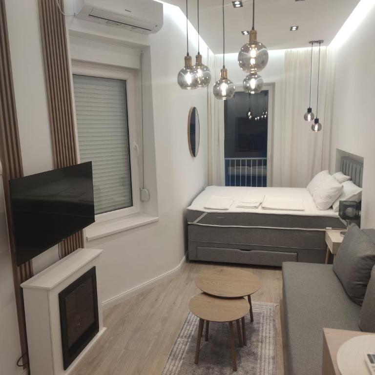 Apartment Hilandarska - Apartman sa 1 Spavaćom Sobom - 11