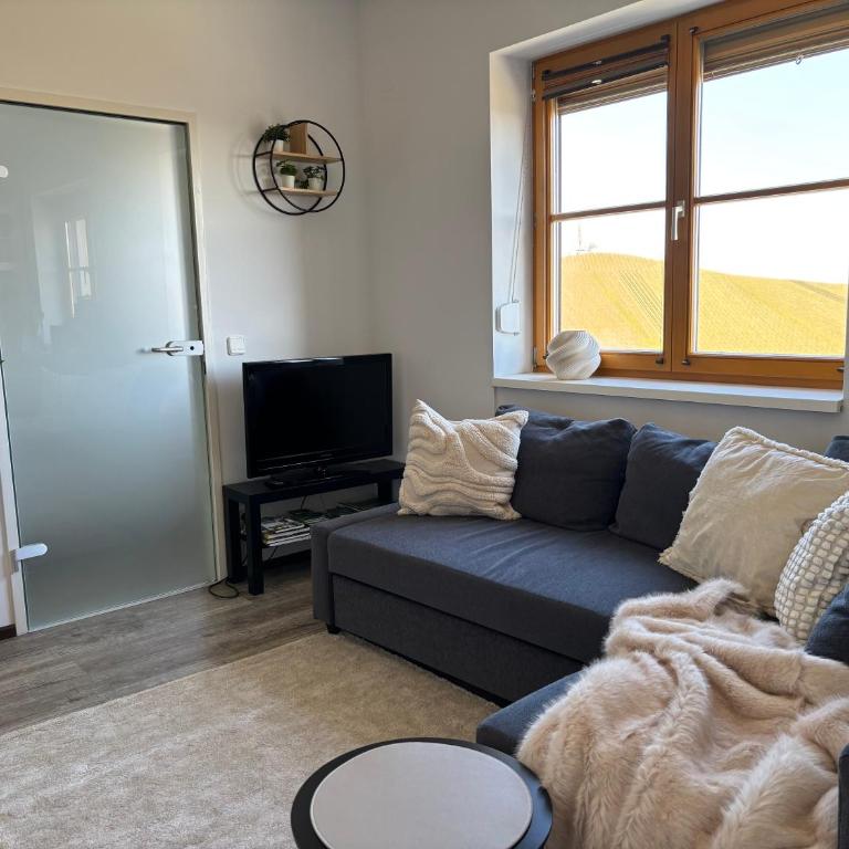 Glanz und Gloria Weingartenapartment an der Kellerstraße, viele Buschenschänke, sehr ruhige Lage, herrliche Aussicht! - Appartement - Vue sur Jardin - 17