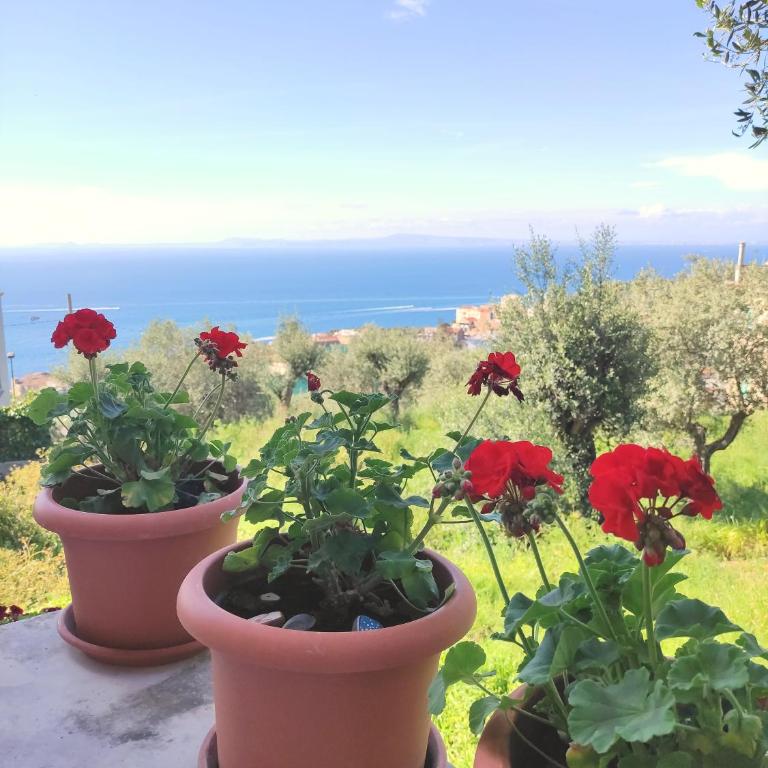 The Sirens' Refuge - Appartamento con Vista Mare - 31