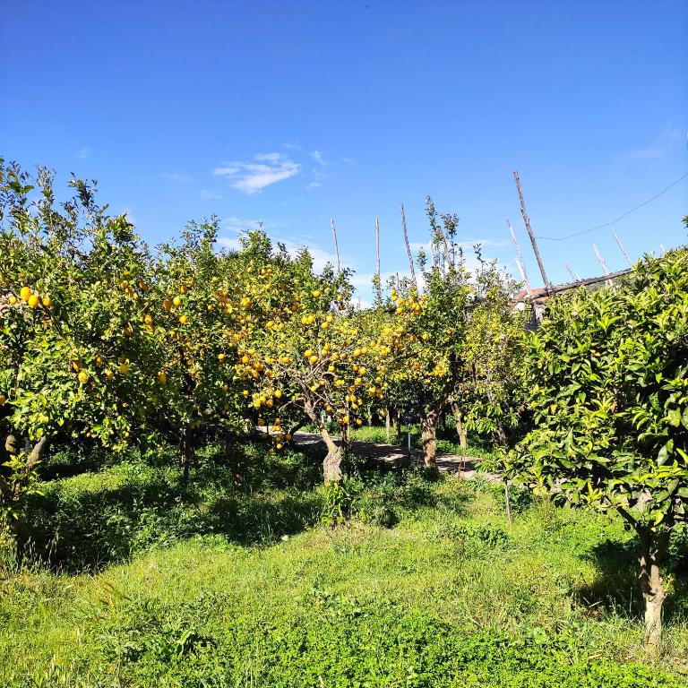 The Sirens' Refuge - Appartamento con Vista Mare - 43