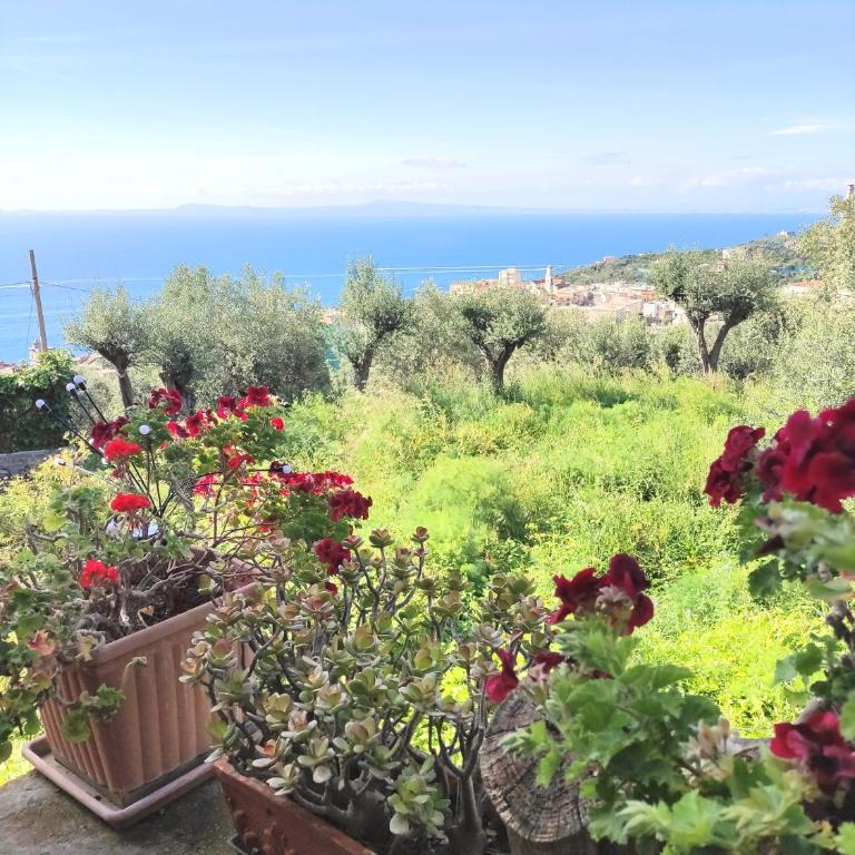 The Sirens' Refuge - Appartamento con Vista Mare - 11