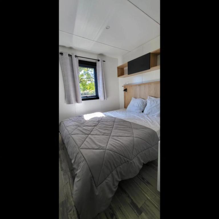 Mobil Home Premium 3 ch Camping 5 Biscarrosse Mayotte F62 - Mobile Home - 4
