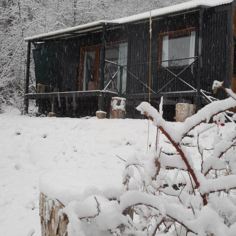 Casa en la Montaña, Casa Chucao - Chalet de 1 dormitorio - 42