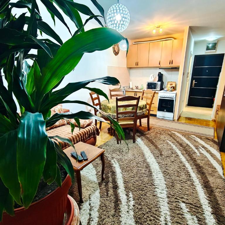 Apartment Banja Luka - Apartman sa 1 Spavaćom Sobom - 1
