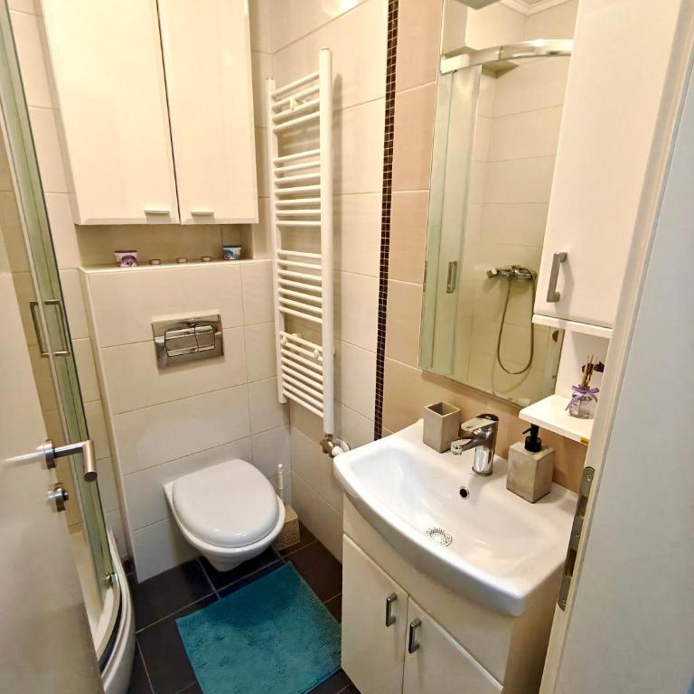Apartment Banja Luka - Apartman sa 1 Spavaćom Sobom - 3
