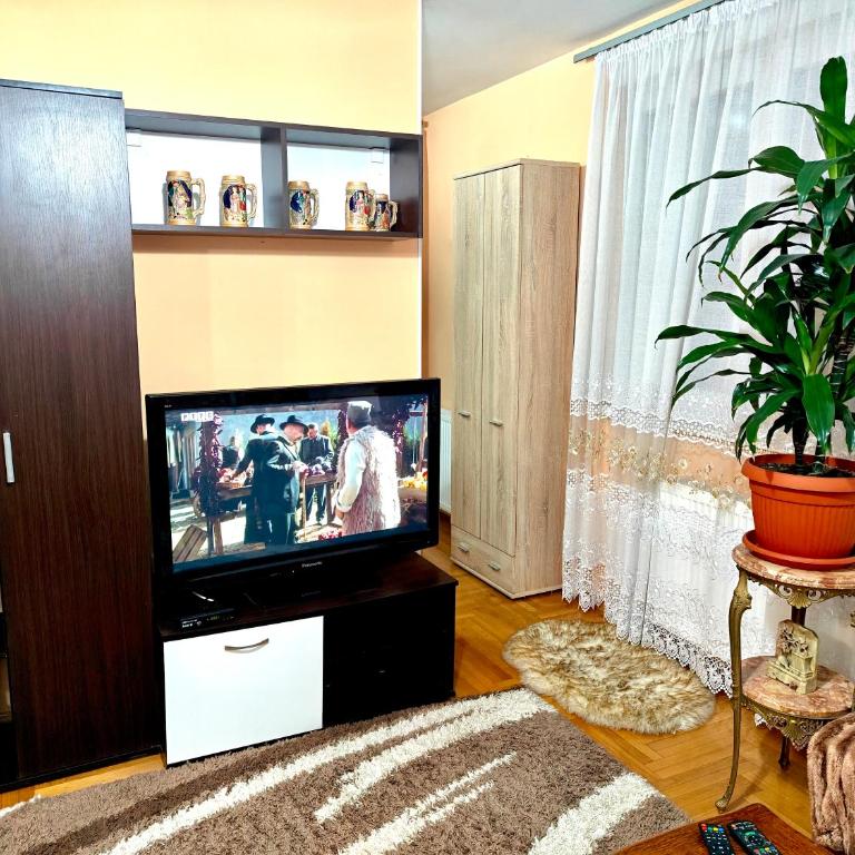 Apartment Banja Luka - Apartman sa 1 Spavaćom Sobom - 8